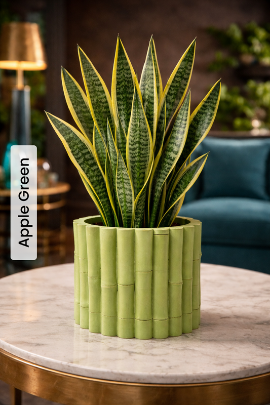 Bamboo Planter